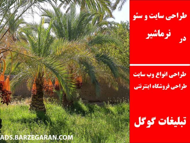 طراحی سایت و سئو در نرماشیر