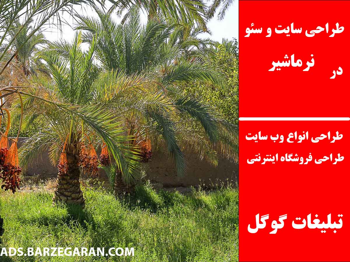 طراحی سایت و سئو در نرماشیر