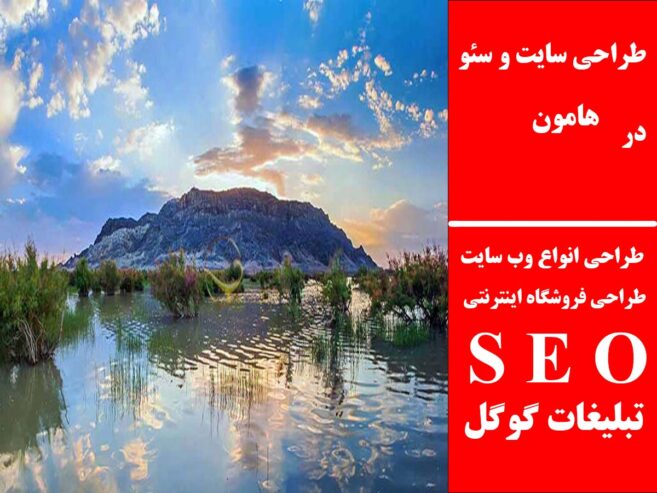 طراحی سایت و سئو در هامون