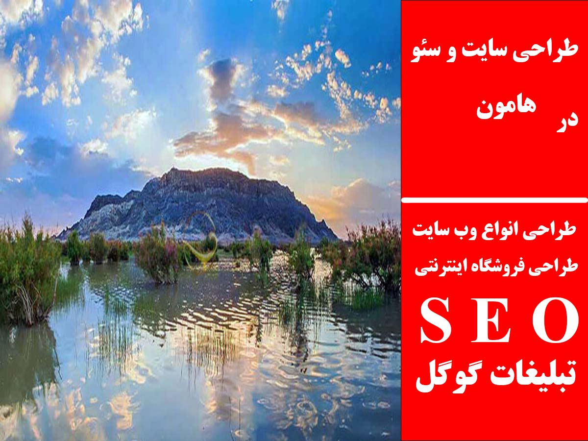 طراحی سایت و سئو در هامون