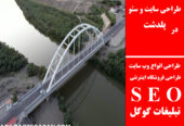 طراحی سایت و سئو در پلدشت