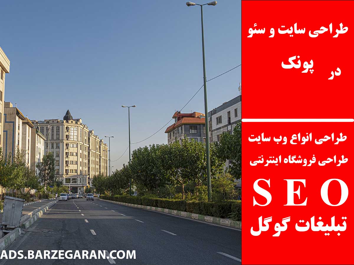 طراحی سایت و سئو در پونک
